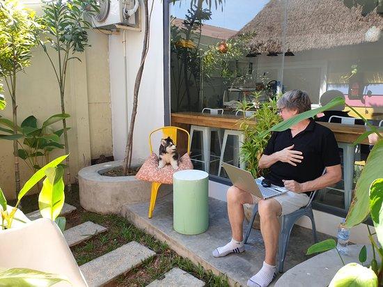 The Secret Dog Cafe